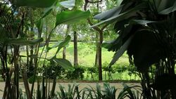 Hundred Trees (D5), Condominium #600666291
